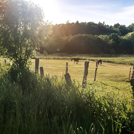 아파트 De Ole School Ferienapartments Medium-apartment 27 , Huus Blomen 호바흐트